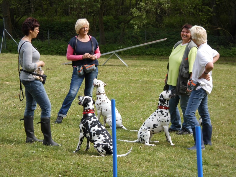 Hundpunkt – Leistungen & Preise